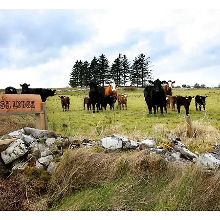 Ash Hébergement de vacances Moytirra
