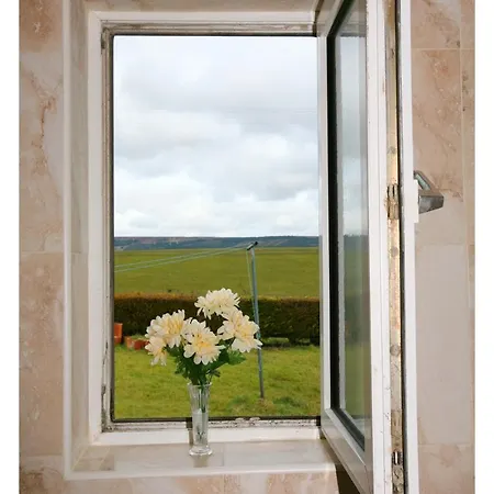 Ash Holiday home *