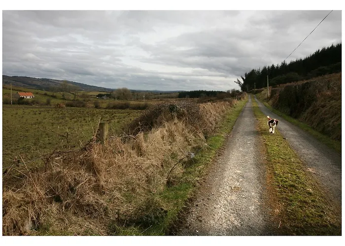 Ash Дом отдыха *