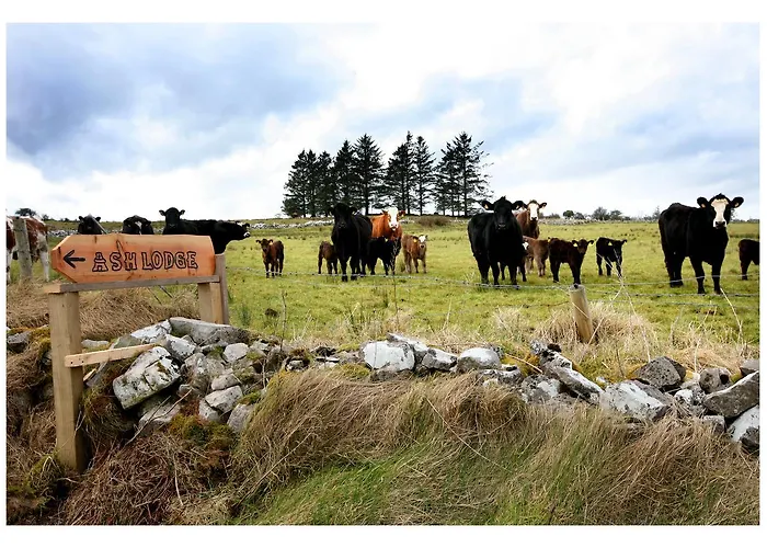Ash Hébergement de vacances Moytirra
