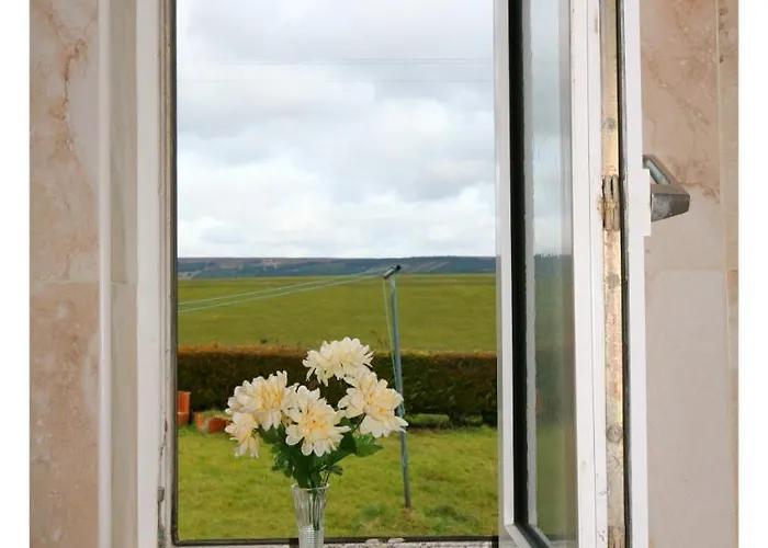 Ash Дом отдыха *